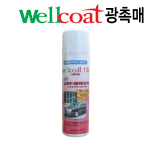 Wellcoat100 광촉매스프레이(자동차용)